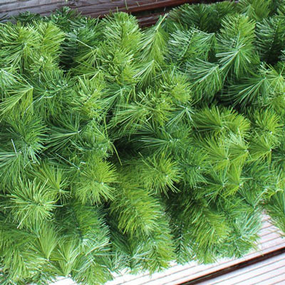 Guirlandes de No&euml;l
