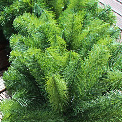 Guirlandes de No&euml;l